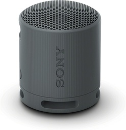 Sony XB100 Wireless Speaker