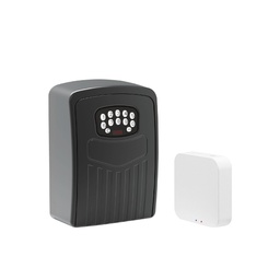 Battery-Powered Smart Safety Box | HeyBox