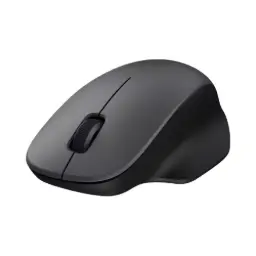 Xiaomi Wireless Mouse Comfort Edition