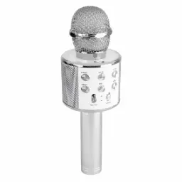 Bluetooth Karaoke Microphone with Speaker | Silver