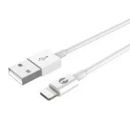 Lightning to USB Charging Cable | 3 m
