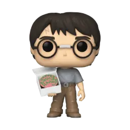 Funko Pop! Harry Potter | Harry Potter Vinyl Figure