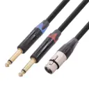 XLR Female 3-Pin to Dual 6.35mm Male Audio Splitter Cable