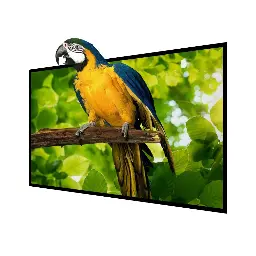 Projection Screen 120" | BlitzWolf 