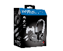 Raptor-Gaming PS5 headset kit SK100